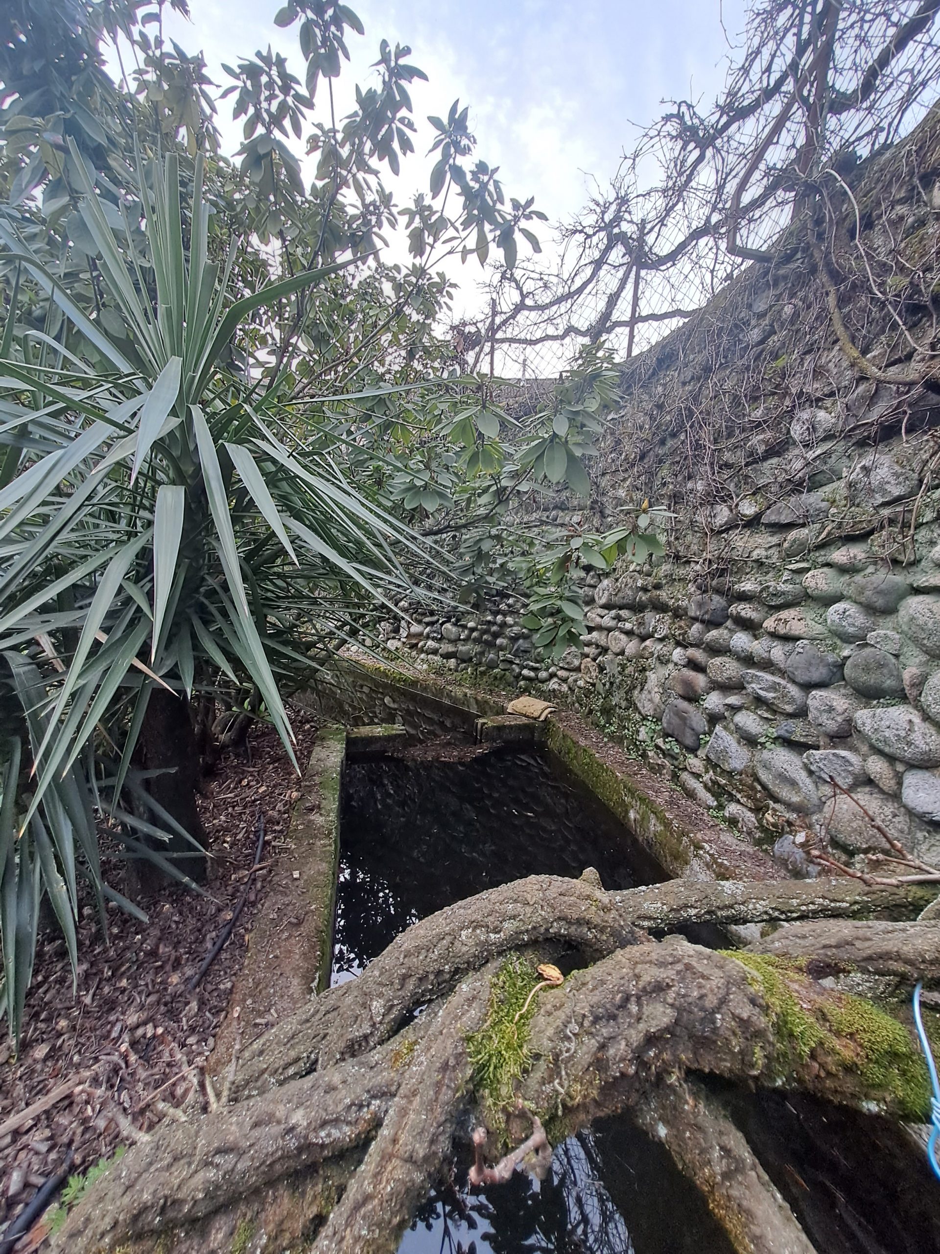 Les Magnolias - Canal du jardin