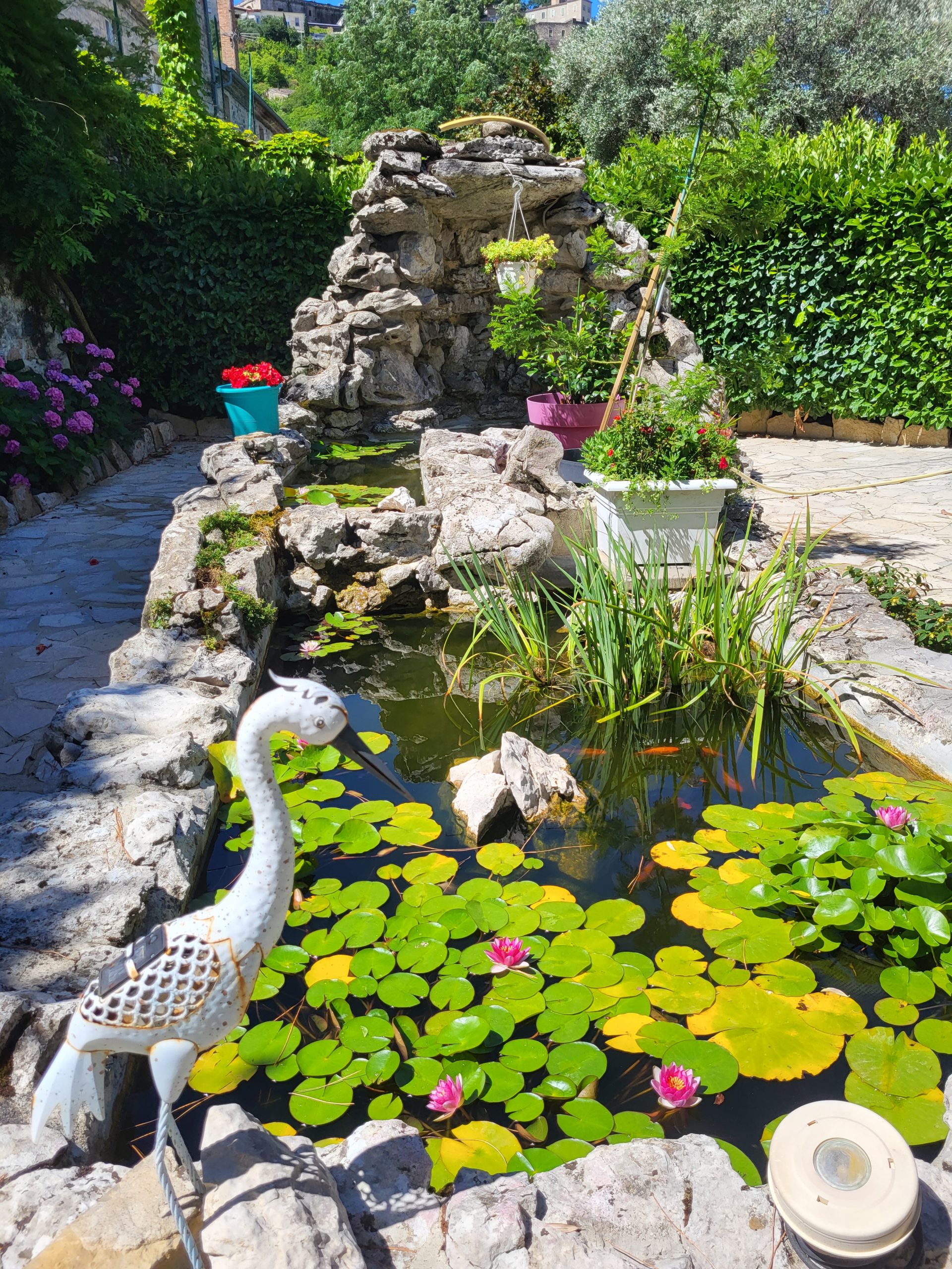 Les Magnolias - Etant à poissons